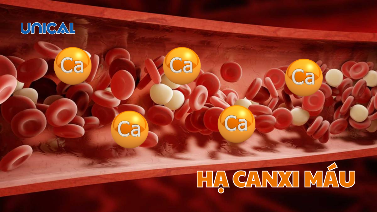 HẠ CANXI MÁU