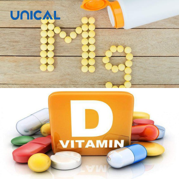 Nên lựa chọn sản phẩm bổ sung canxi chứa vitamin D và magie